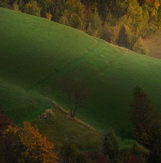 粉象生活优惠券领取在哪里