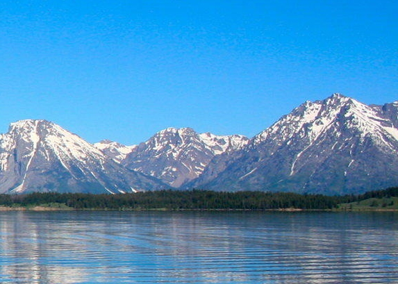 广东粉象生活如何使用