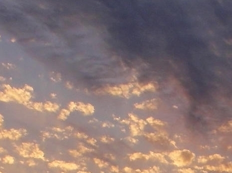 粉象生活怎么找人