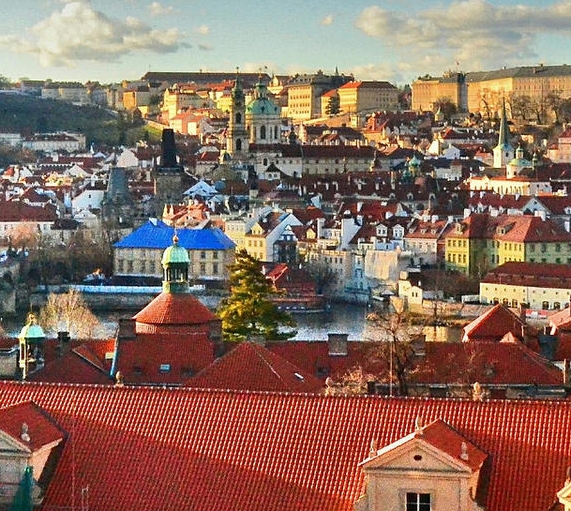 惠州粉象生活电话