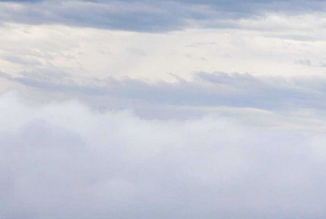 粉象生活下载app