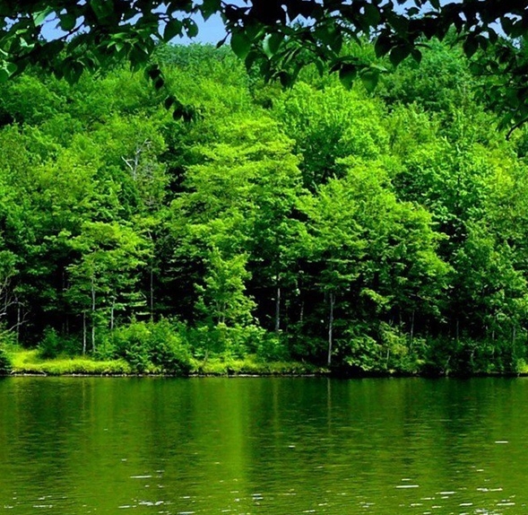 粉象生活粉丝怎么增加