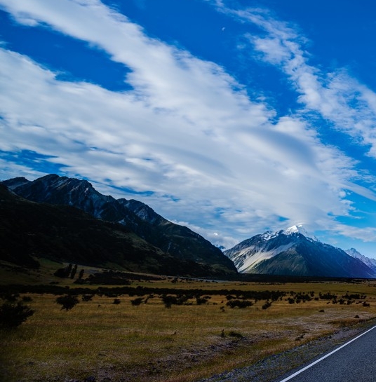 粉象生活开店怎么注册