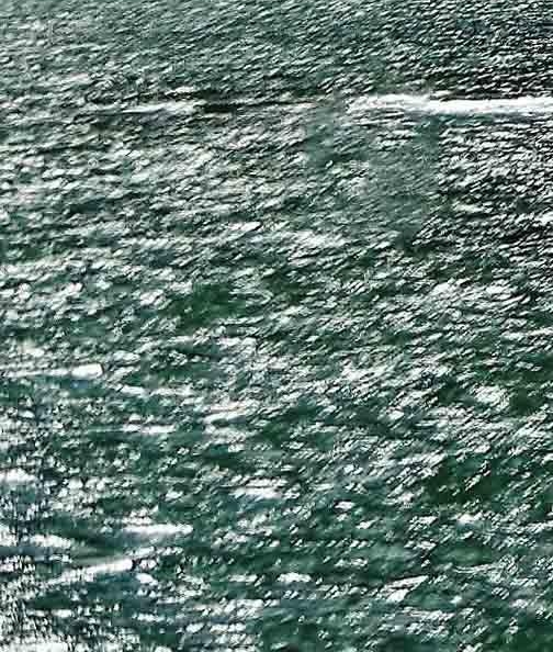 扬州粉象生活vip