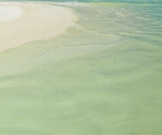 高省和粉象生活哪个更有优势