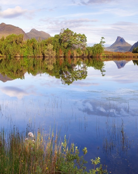 粉象生活送的东西怎么删除