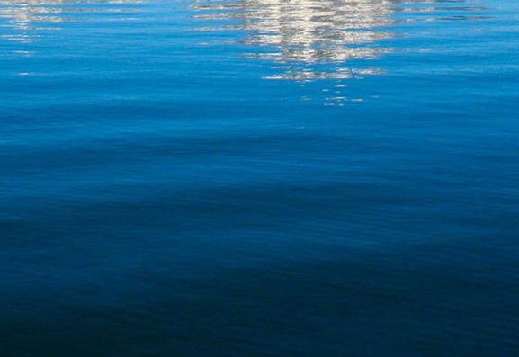 粉象生活下载app