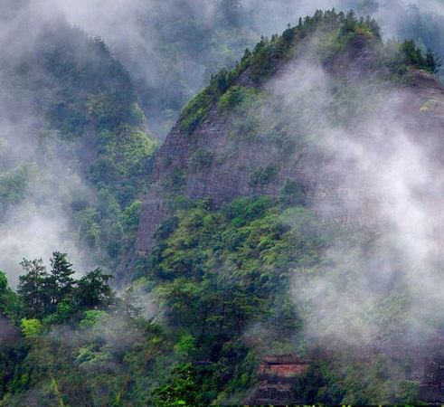 粉象生活实名要扫脸吗