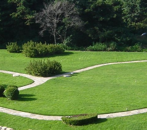 粉象生活最新级别