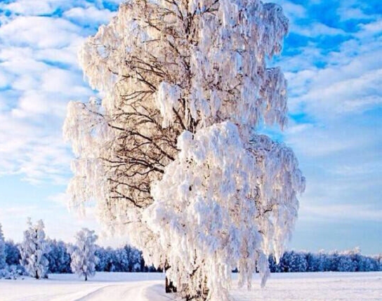 粉象生活到底能不能做