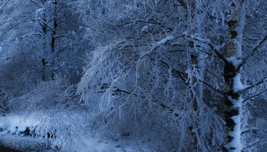 粉象生活靠谱吗