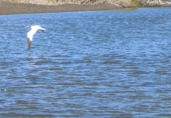 揭阳粉象生活收入