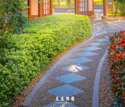 粉象生活创立