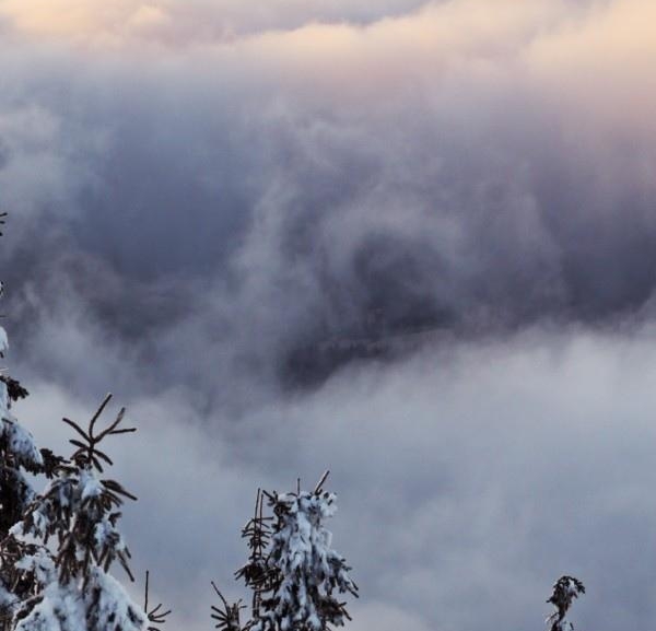 潮州粉象生活使用教程