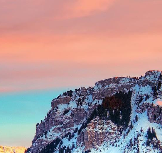 鱼闪闪生活照片