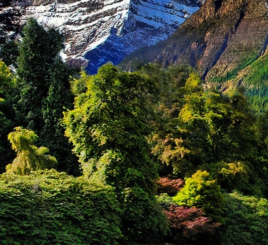 粉象生活公益文案