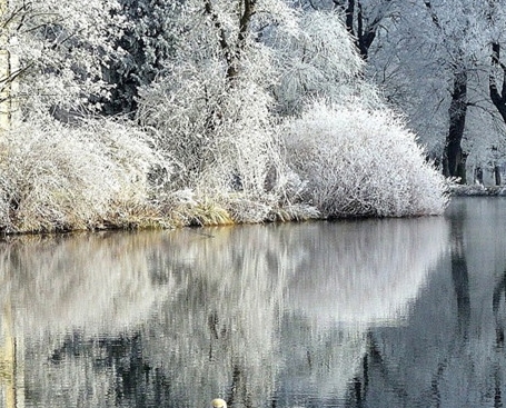 粉象生活粉丝怎么增加