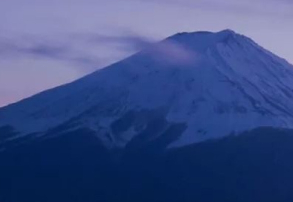 粉象生活招商引流