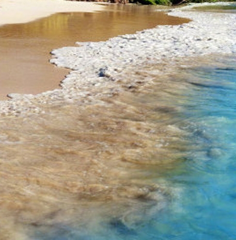 粉象生活是返利网吗