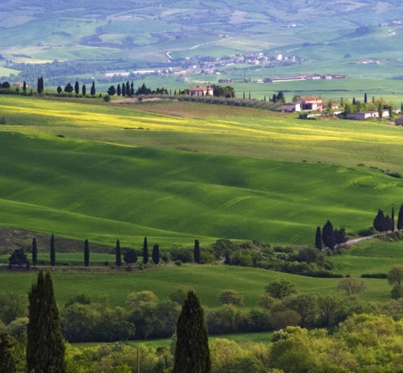 新手粉象生活怎么赚钱