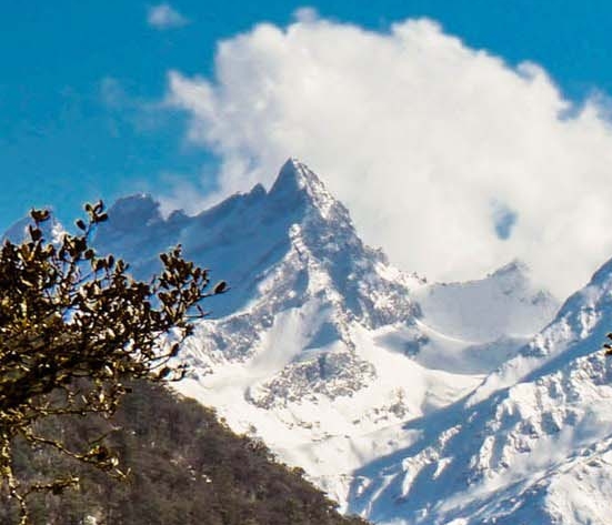 粉象生活粉丝怎么增加