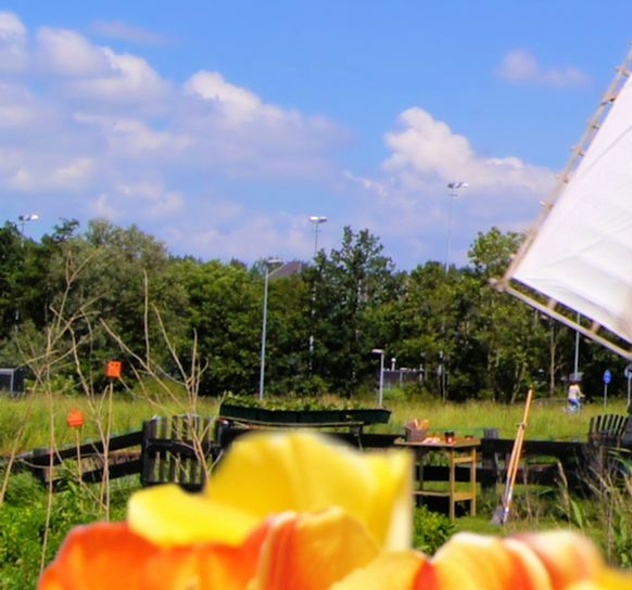 粉象生活能赚到钱吗