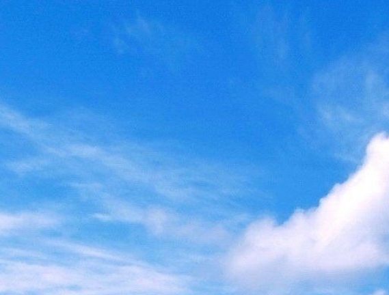 粉象生活下载app