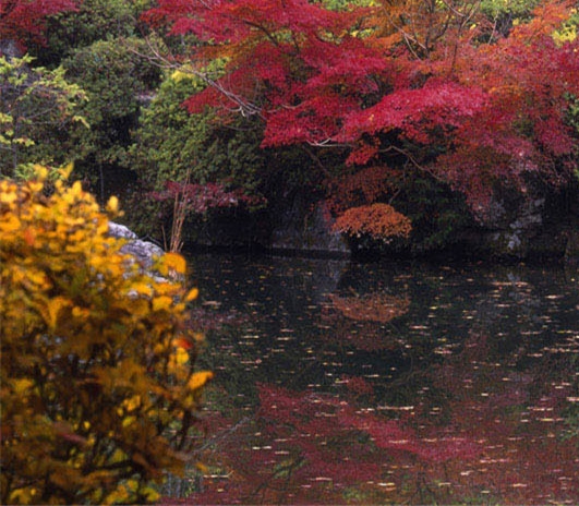 粉象生活加油便宜