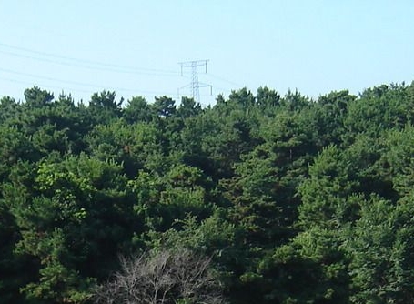 粉象生活怎么赚钱