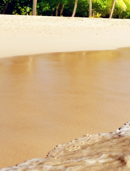 粉象生活免费观看