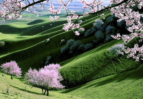 呼和浩特粉象生活总代理