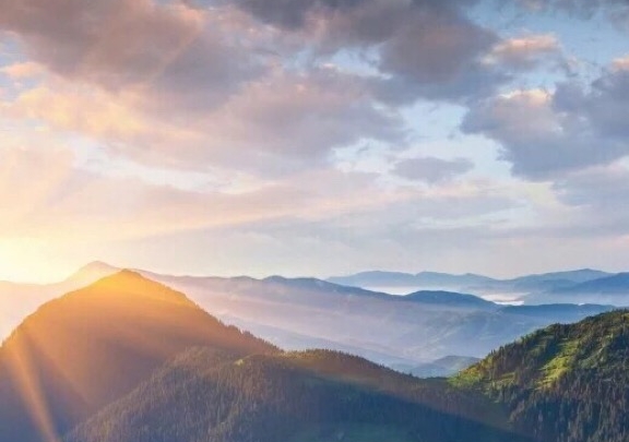 粉象生活邀请人