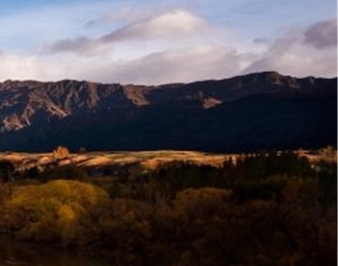 粉象生活宝妈如何挣钱