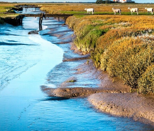 粉象生活的工资