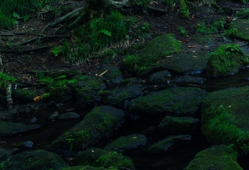 粉象生活怎么赚钱的