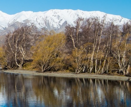 粉象生活赚钱教程