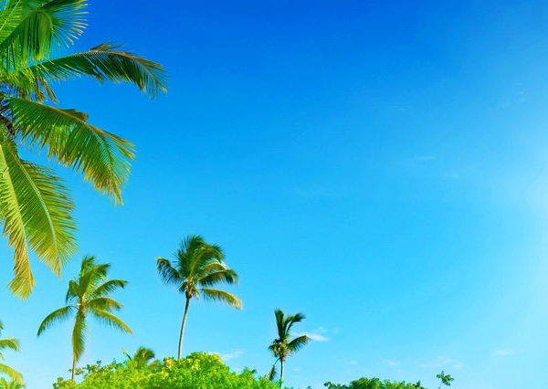 粉象生活视频看完显示什么