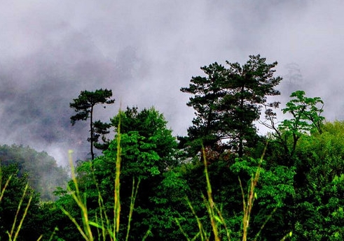 惠州粉象生活如何使用