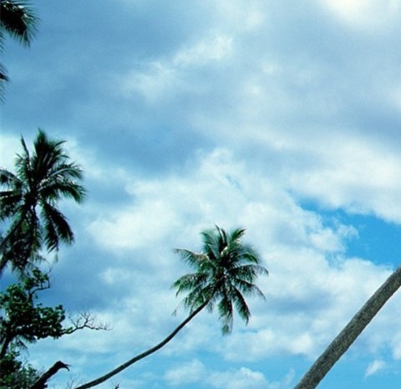 河南一站式粉象生活官网