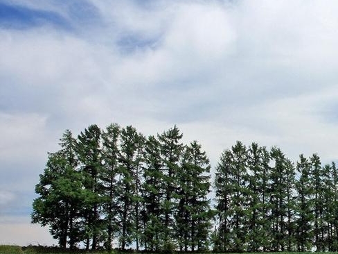 粉象生活申请邀请