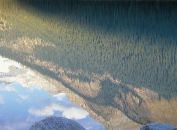 粉象生活邀请码