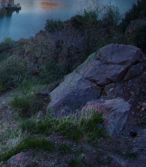 粉象生活能赚钱吗