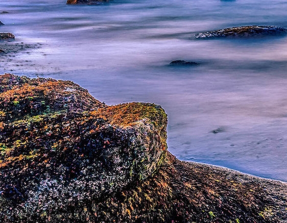 粉象生活分现金看视频