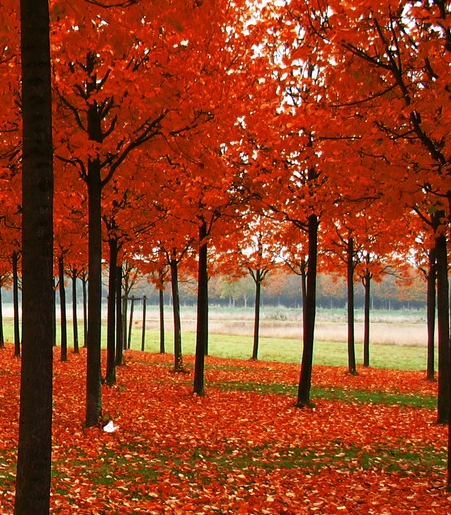 粉象生活目前谁做的最好