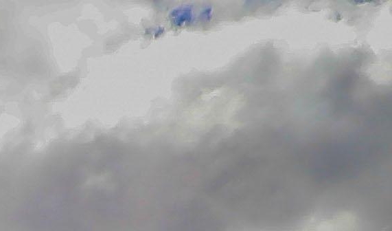 粉象生活日推广50人