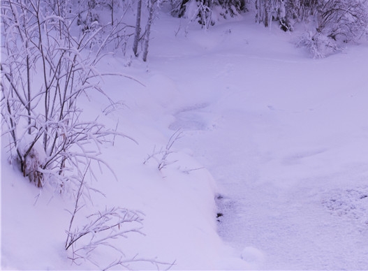 粉象生活现在可以提现吗