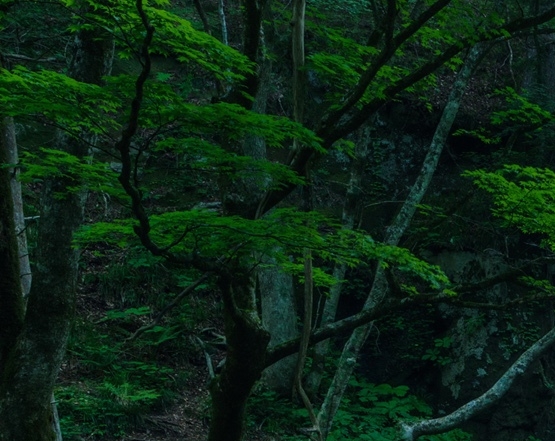 粉象生活可以送货吗