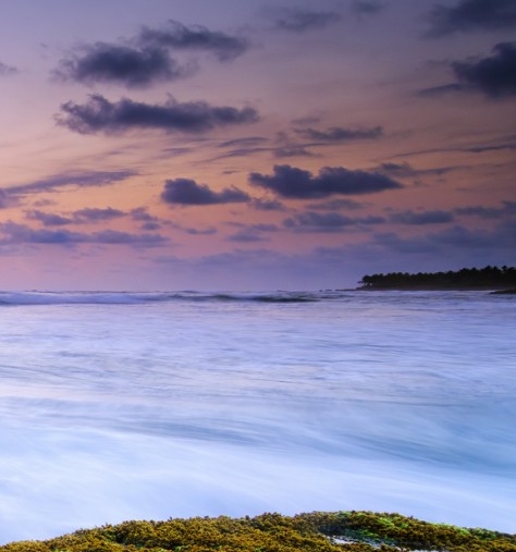 粉象生活赚钱教程