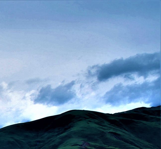 粉象生活是什么样的平台