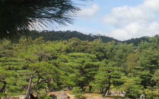 扬州粉象生活佣金